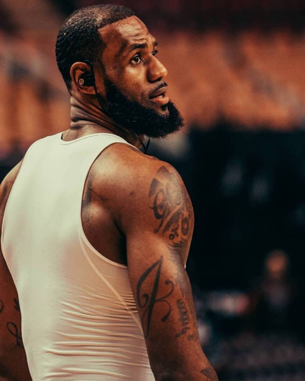 被针对的脆 被针对的脆